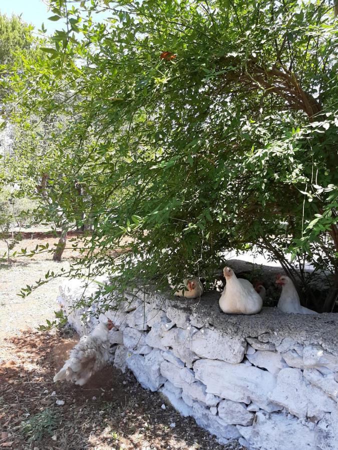 Trullo Fellone Villa Ceglie Messapica Exterior foto